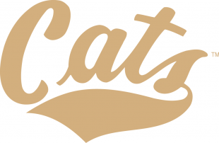 Montana State Bobcats 2004-2012 Wordmark Logo Sticker Heat Transfer