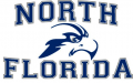 UNF Ospreys 2010-2013 Primary Logo decal sticker