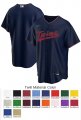 Minnesota Twins Custom Letter and Number Kits for Alternate Jersey 01 Material Twill