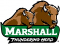 Marshall Thundering Herd 2001-Pres Alternate Logo 10 Sticker Heat Transfer
