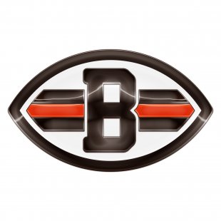 Cleveland Browns Crystal Logo Sticker Heat Transfer