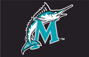 Miami Marlins 1999-2002 Batting Practice Logo Sticker Heat Transfer