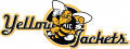 AIC Yellow Jackets 2009-Pres Alternate Logo 03 Sticker Heat Transfer