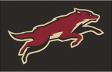 Arizona Coyotes 2008 09-2013 14 Jersey Logo decal sticker