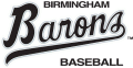 Birmingham Barons 1993-2007 Primary Logo Sticker Heat Transfer