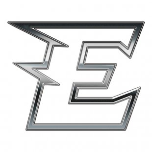 Philadelphia Eagles Silver Logo Sticker Heat Transfer