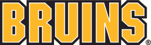 Boston Bruins 1995 96-2006 07 Wordmark Logo 02 decal sticker
