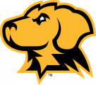 UMBC Retrievers 2010-Pres Alternate Logo 03 Sticker Heat Transfer