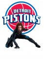 Detroit Pistons Black Widow Logo Sticker Heat Transfer