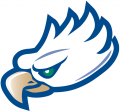 Florida Gulf Coast Eagles 2002-Pres Partial Logo Sticker Heat Transfer