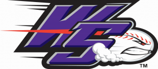 Winston-Salem Dash 2009-Pres Secondary Logo decal sticker