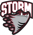 Guelph Storm 1997 98-2006 07 Primary Logo decal sticker