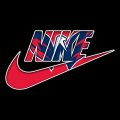 Washington Capitals Nike logo decal sticker