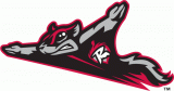 Richmond Flying Squirrels 2010-Pres Primary Logo decal sticker