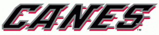 Carolina Hurricanes 1997 98-2007 08 Wordmark Logo decal sticker