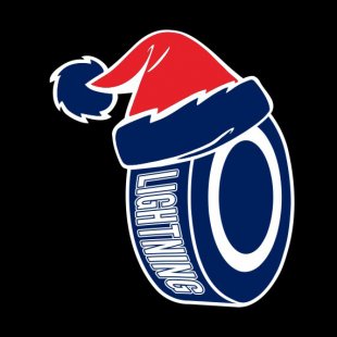tampa bay lightning Hockey ball Christmas hat logo decal sticker