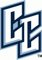 Charlotte Checkers 2007-2010 Alternate Logo 2 Sticker Heat Transfer