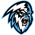 Winnipeg Ice 2019 20-Pres Primary Logo decal sticker