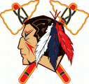 Johnstown Tomahawks 2012 13-Pres Primary Logo decal sticker