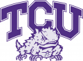 TCU Horned Frogs 1995-Pres Alternate Logo 02 Sticker Heat Transfer