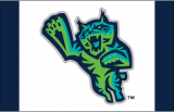 Lynchburg Hillcats 2017-Pres Cap Logo 3 decal sticker