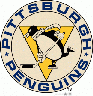 Pittsburgh Penguins 2010 11-2012 13 Alternate Logo decal sticker
