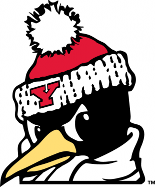 Youngstown State Penguins 1993-Pres Alternate Logo 04 Sticker Heat Transfer