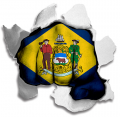 Fist Delaware State Flag Logo Sticker Heat Transfer