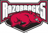 Arkansas Razorbacks 2001-2008 Alternate Logo 02 decal sticker