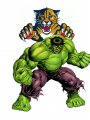 Florida Panthers Hulk Logo decal sticker
