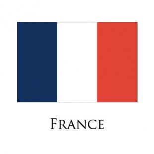 France flag logo decal sticker