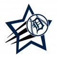 Detroit Tigers Baseball Goal Star logo decal sticker