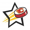 Calgary Flames Hockey Goal Star logo Sticker Heat Transfer