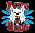 Fairbanks Ice Dogs 2003 04-Pres Alternate Logo decal sticker