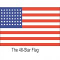 Flag Logo 20