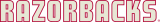 Arkansas Razorbacks 1964-1966 Wordmark Logo decal sticker