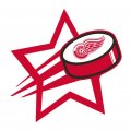 Detroit Red Wings Hockey Goal Star logo Sticker Heat Transfer