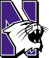 Northwestern Wildcats 1981-2011 Primary Logo 01 decal sticker