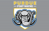 Purdue Fort Wayne Mastodons 2018-Pres Primary Dark Logo Sticker Heat Transfer