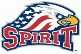 Saginaw Spirit 2002 03-Pres Alternate Logo decal sticker