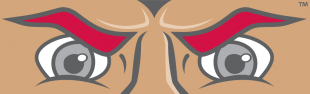 Sacred Heart Pioneers 2004-Pres Mascot Logo Sticker Heat Transfer
