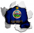 Fist Kansas State Flag Logo decal sticker