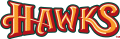 Boise Hawks 2007-Pres Wordmark Logo decal sticker