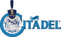The Citadel Bulldogs 2000-Pres Primary Logo decal sticker