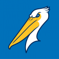 Myrtle Beach Pelicans 2007-Pres Cap Logo 2 decal sticker