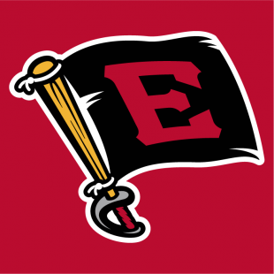 Erie SeaWolves 2013-Pres Cap Logo 2 decal sticker