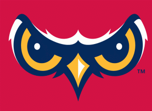 Orem Owlz 2005-Pres Cap Logo 2 Sticker Heat Transfer