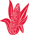 Nebraska Cornhuskers 1962-1971 Alternate Logo decal sticker