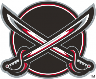 Buffalo Sabres 2000 01-2005 06 Alternate Logo decal sticker