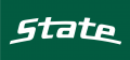 Michigan State Spartans 2000-Pres Wordmark Logo 02 Sticker Heat Transfer